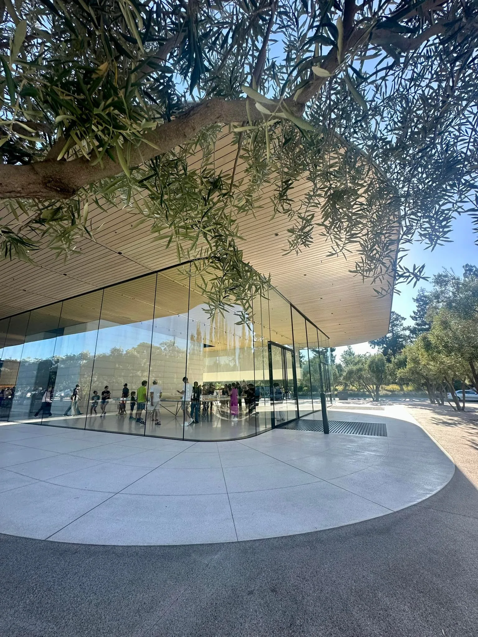 Silicon Valley a areály tech firem, srpen 2024 (10)