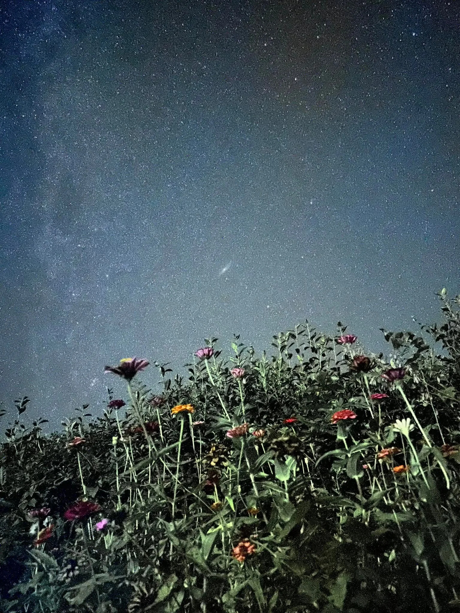 Zhangjiajie a park Tianzishan, srpen 2024 (3)