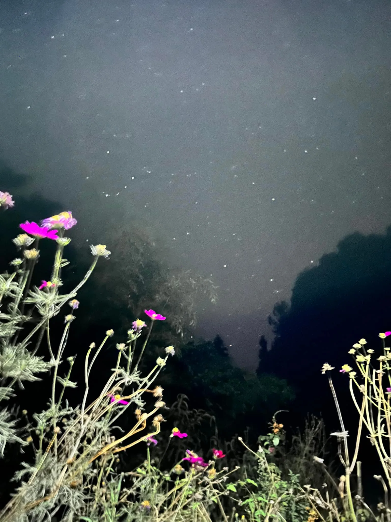 Zhangjiajie a park Tianzishan, srpen 2024 (13)