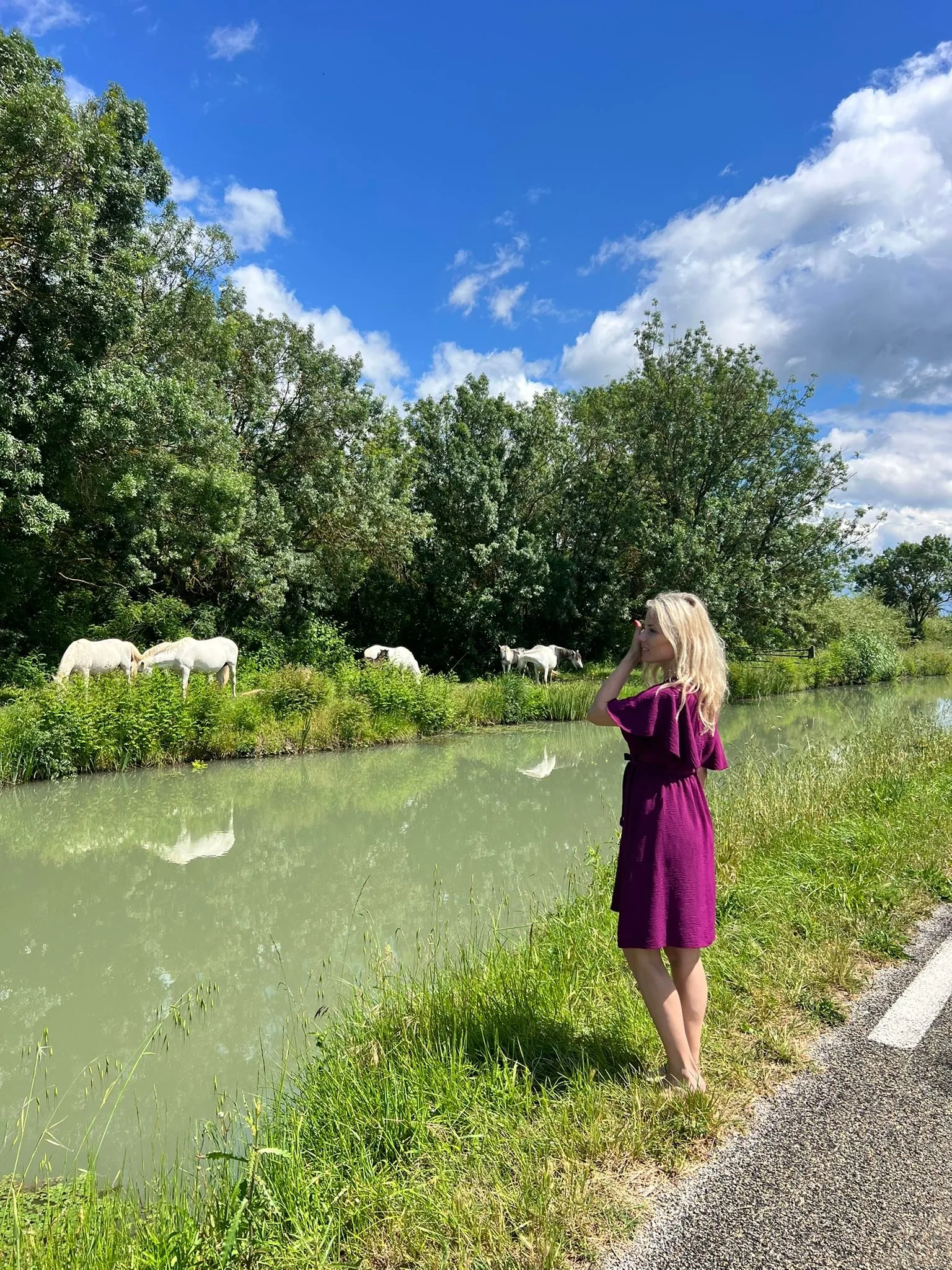 Camargue a jižní Francie, květen 2025 (5)